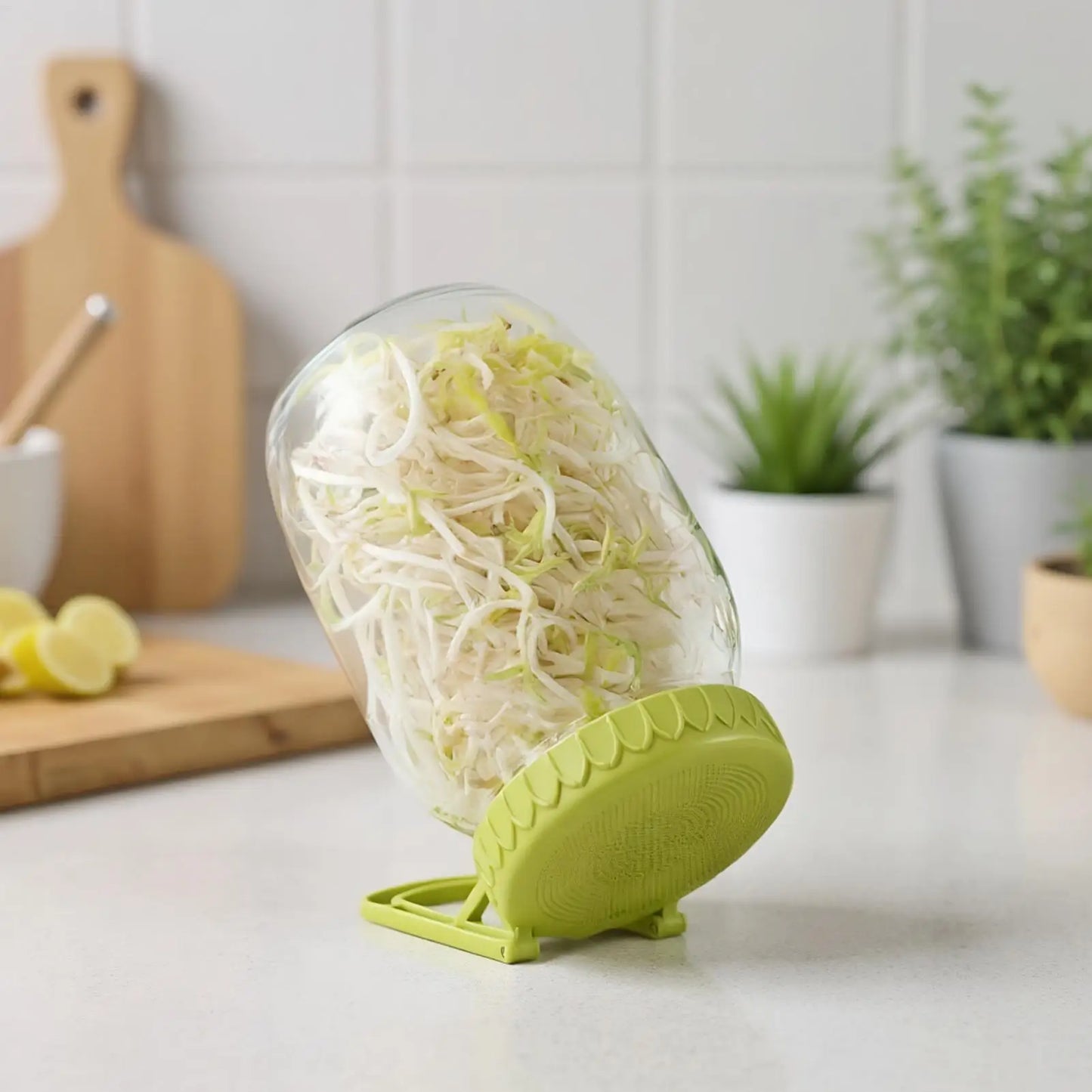 Sprouting Lids Germination Cover with Stand Wide Mouth Sprouting Lid with Bracket for Beans Alfalfa Plants Vegetables Broccoli Peaceful Pleasures Health and Wellness