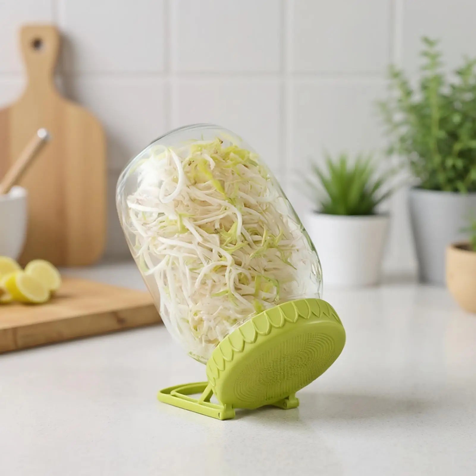 Sprouting Lids Germination Cover with Stand Wide Mouth Sprouting Lid with Bracket for Beans Alfalfa Plants Vegetables Broccoli Peaceful Pleasures Health and Wellness