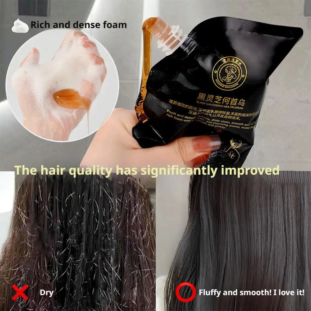 Black Reishi & Polygonum Strengthening Volumizing Shampoo