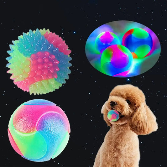 LED Flashing Ball Toy for Dogs & Cats | Glowing TPR Bounce Ball Interactive Pet Toy Oasis Select