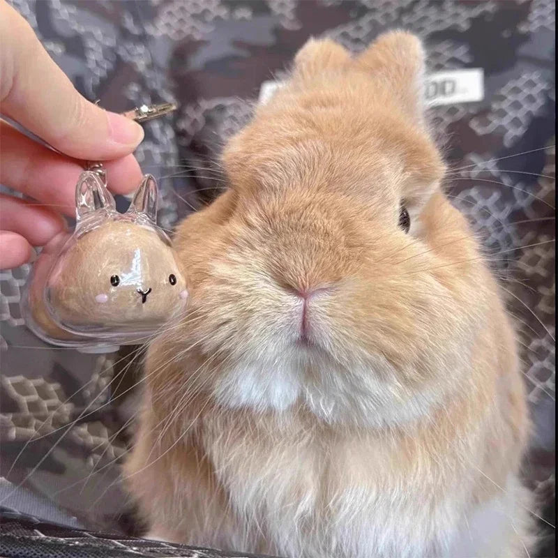 Pet Hair Keepsake Box Keychain – DIY Memorial Pendant Gift
