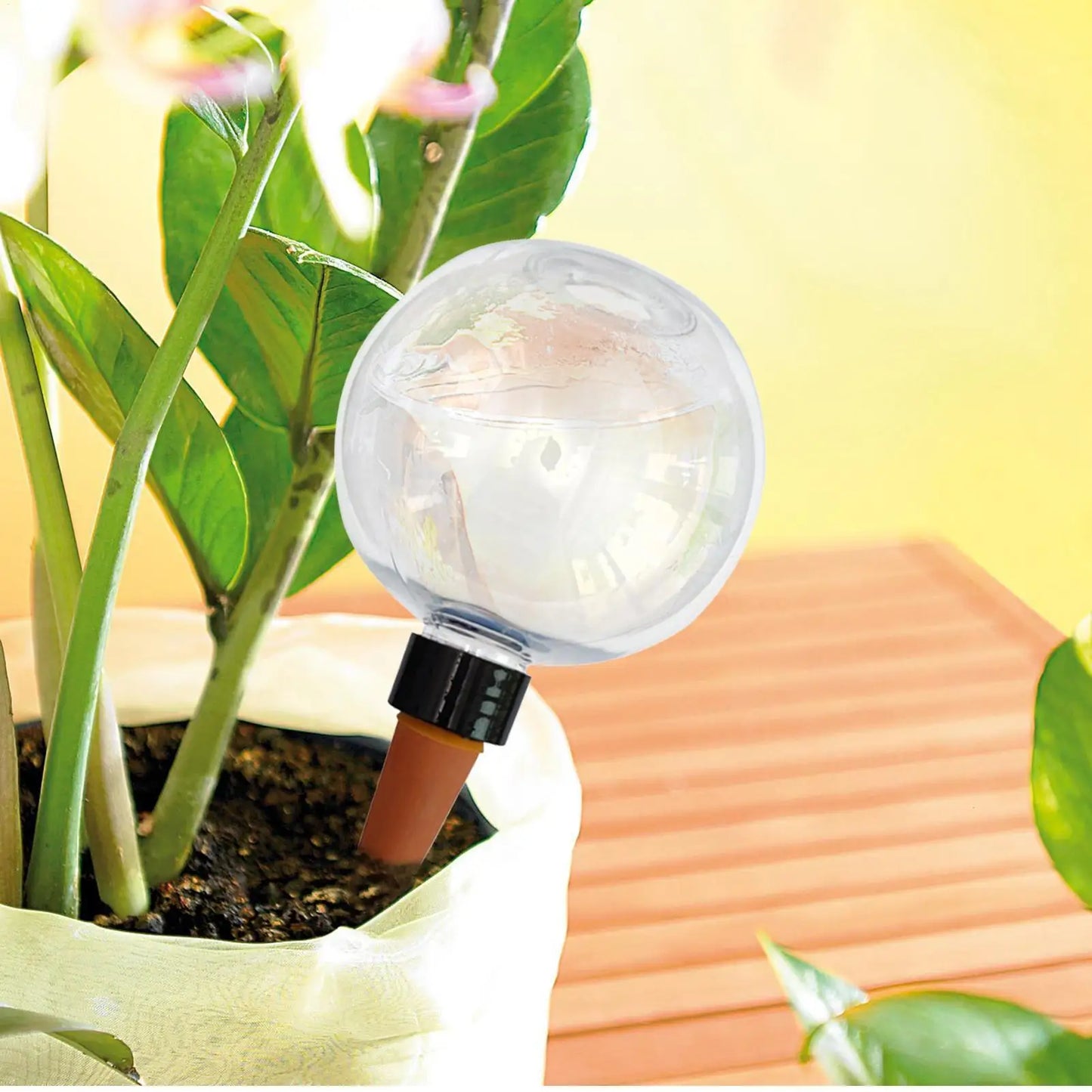 500ml Self-Watering Plant Globes | Auto Drip Irrigation Bulbs