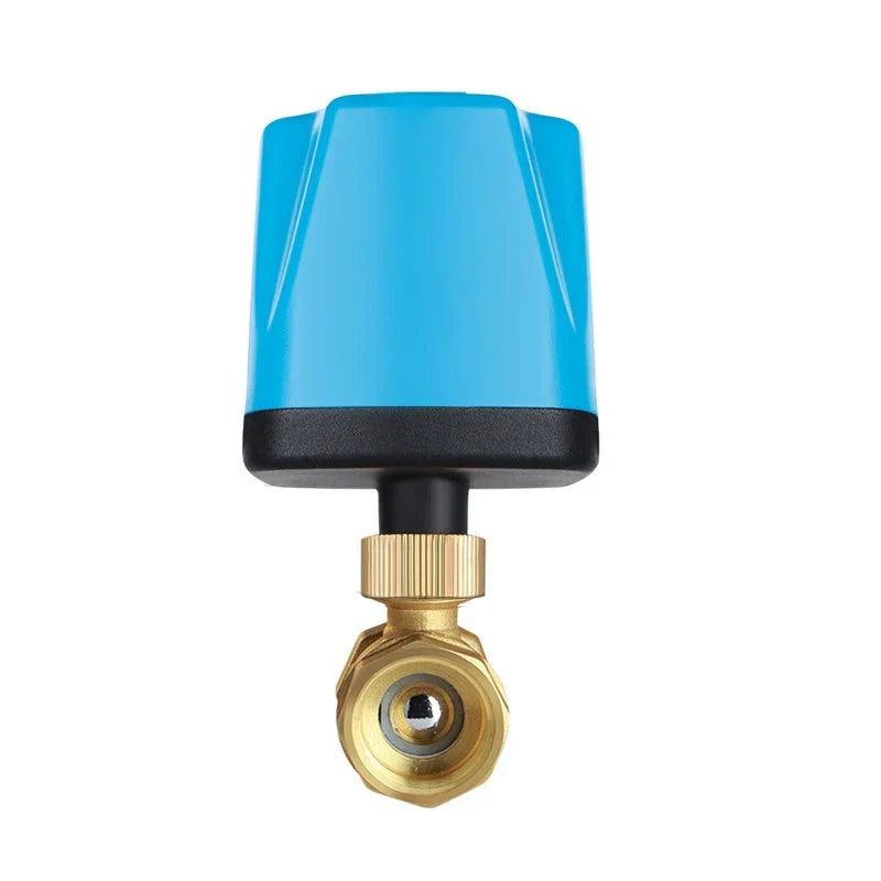 Brass Electric Ball Valve DC12V/24V | 1/2" to 2" Water Control