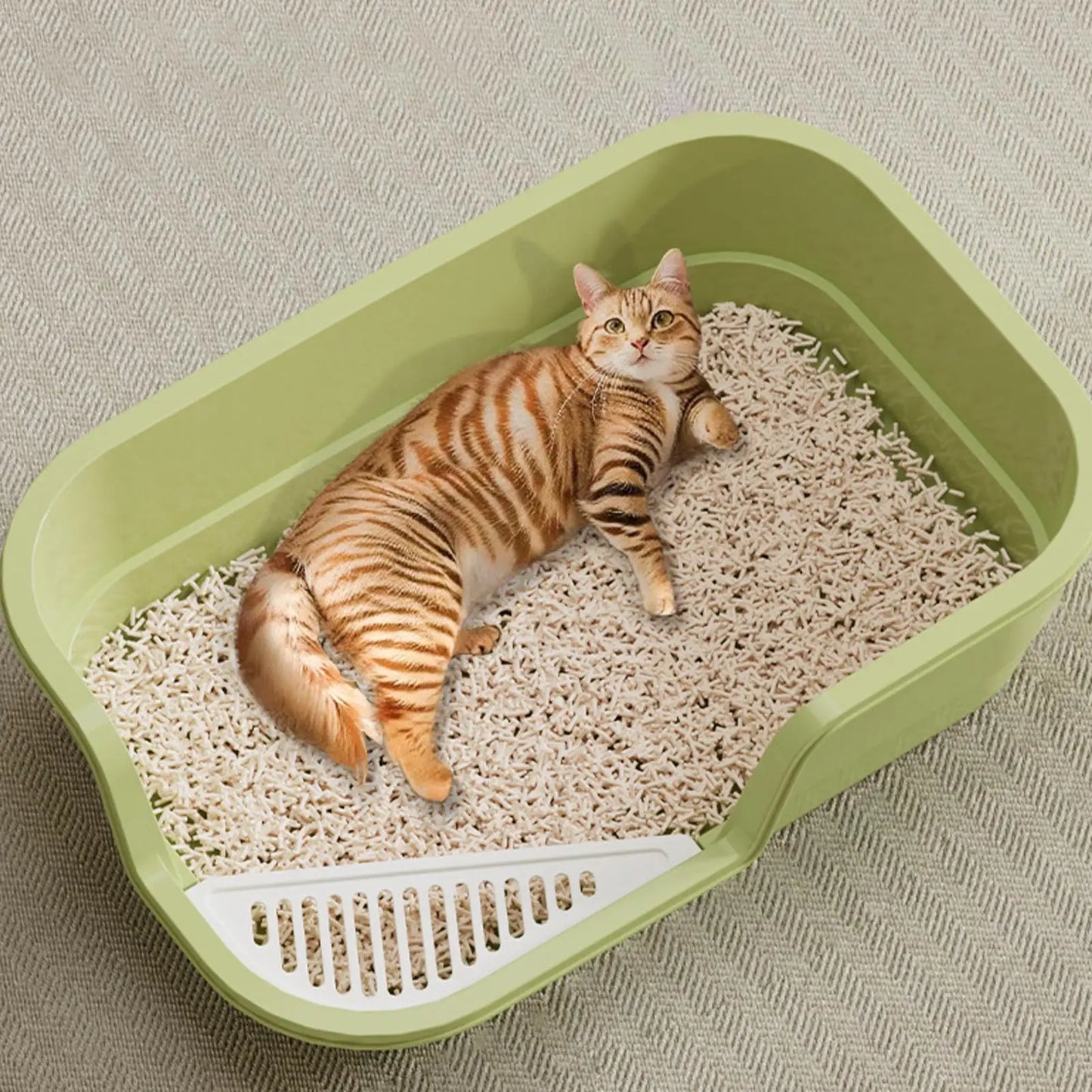 Semi-Enclosed Cat Litter Box with Scoop | Odor Control & Easy Clean