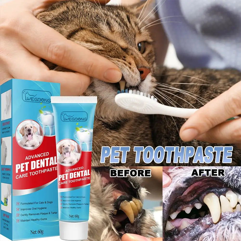 60g Advanced Pet Dental Edible Toothpaste Cats Dogs Improve Oral Hygiene Remove Plaque Tartar Maintain Healthy Gum Pet Oral Care Peaceful Pleasures Health and Wellness Default Title