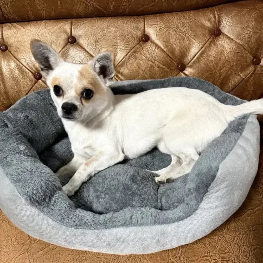 Soft Warm Dog Bed & Cat Sofa – 100% Cotton Pet Cushion