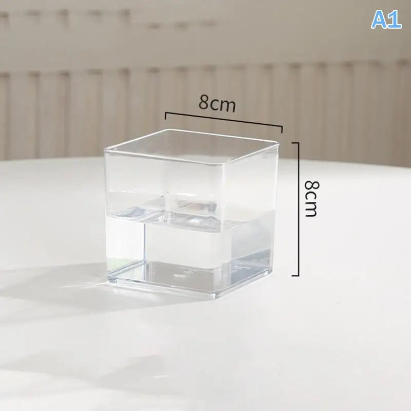 Transparent Acrylic Plant Pot | Square & Round Bonsai Planter