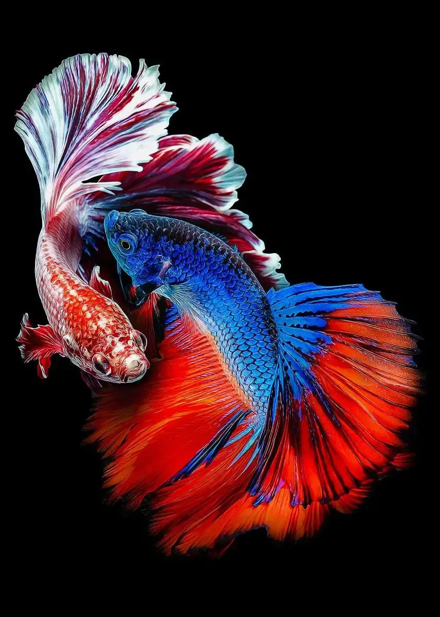 Tropical Fish Canvas Wall Art | Betta Goldfish Rainbow Fish Print