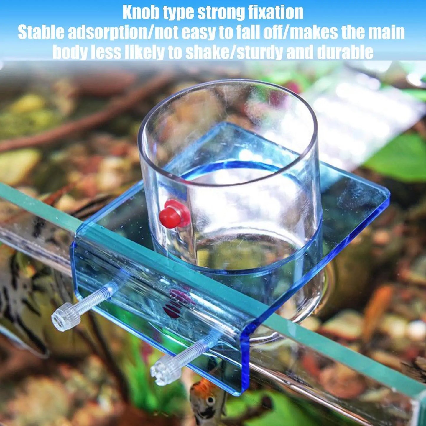 Acrylic Fish Feeding Ring with Suction Cup | Aquarium Feeder
