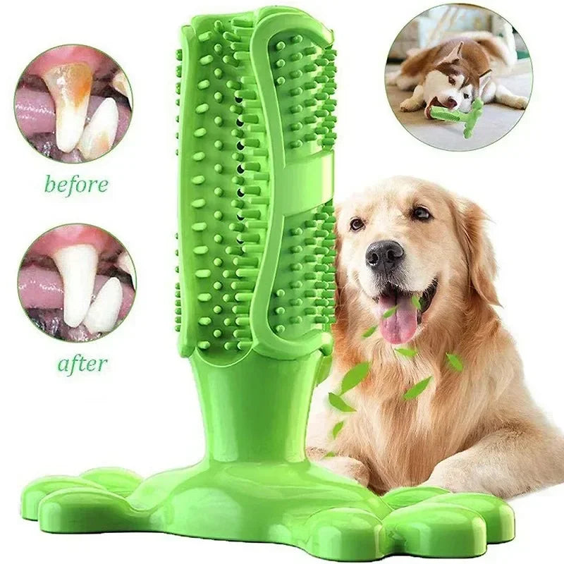 Cactus Dog Chew Toy | Rubber Treat Dispenser & Teeth Cleaner Dog Chew Toy Peaceful Pleasures Health and Wellness