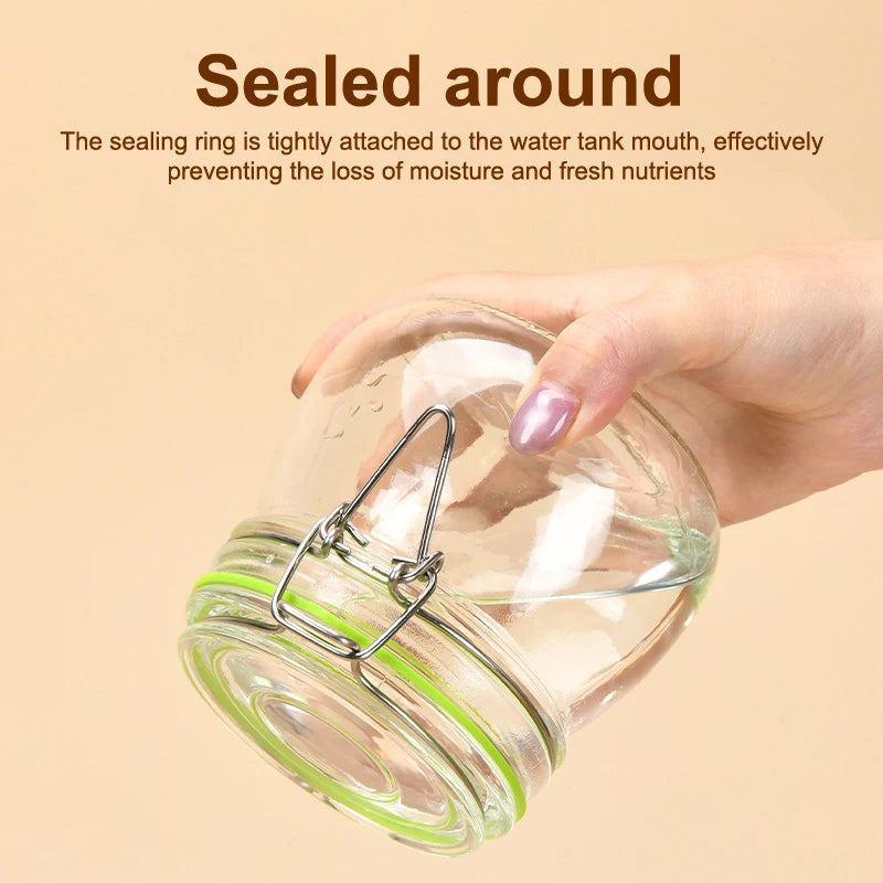 10-Pack Silicone Gaskets for Clip Top Glass Canning Jars Jar Sealing Gasket Peaceful Pleasures Health and Wellness