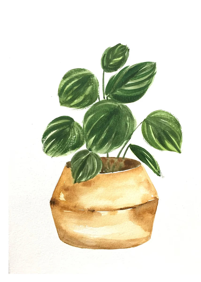 Plant Potted Watercolor Poster Family Garden Houseplant Botanical Canvas Printing Wall Art Picture for Living Room Home Decor Peaceful Pleasures Health and Wellness DM92-3 40x50cm Unframed