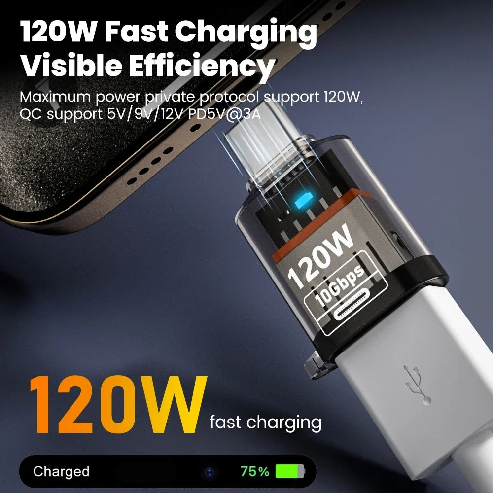 USB-C to USB-A Adapter | 120W Fast Charging, 10Gbps OTG Peaceful Pleasures Health and Wellness
