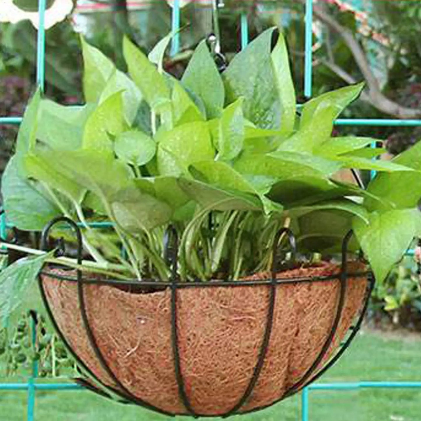 Natural Coconut Coir Liner for Hanging Baskets & Garden Pots