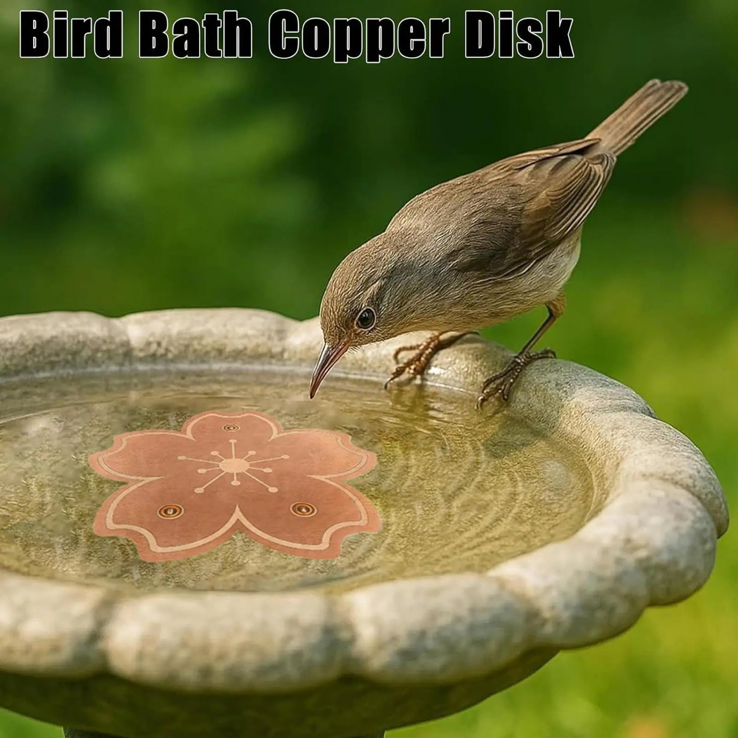 Copper Bird Bath Purification Disk | Natural Water Cleaner
