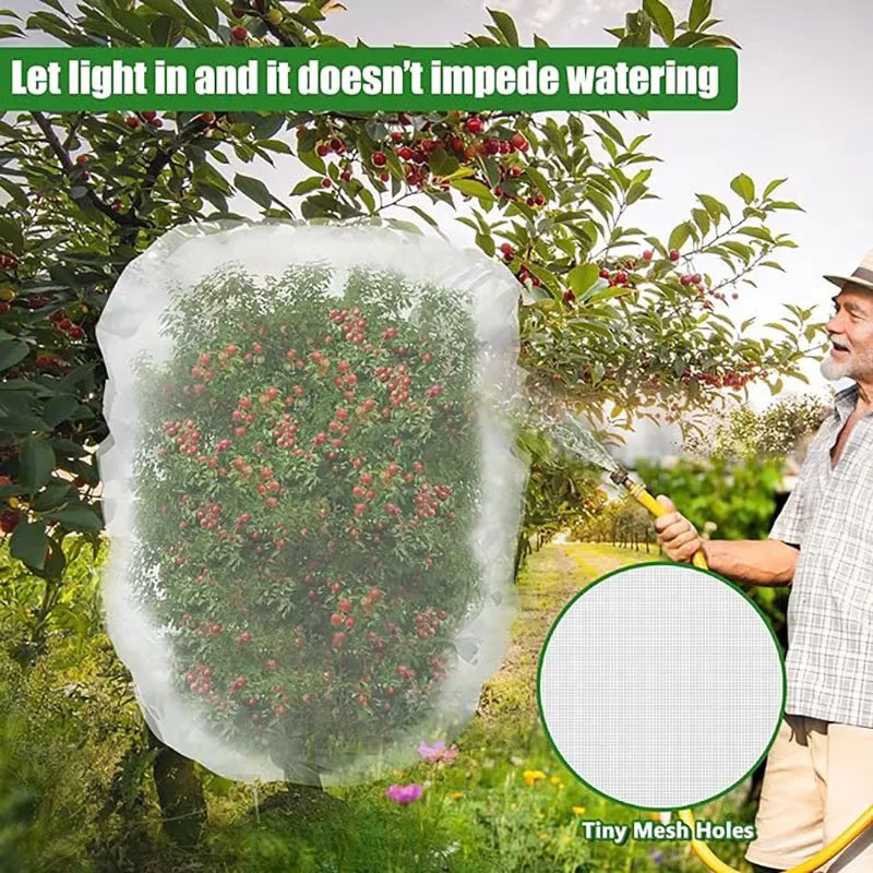 Plant Mesh Bags – Anti-Bird & Pest Protection Net for Garden