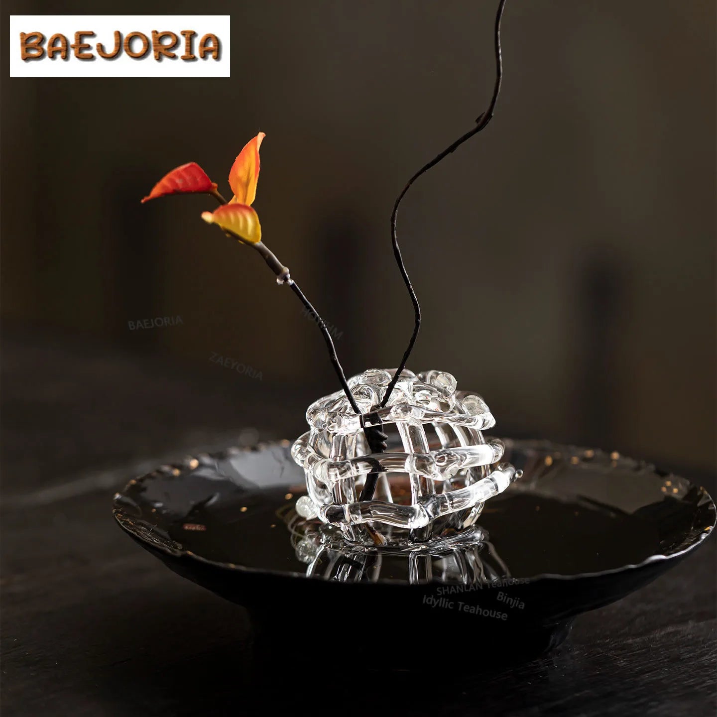 BAEJORIA Glass Ball Vase | Hydroponics Flower Pot & Tea Decor