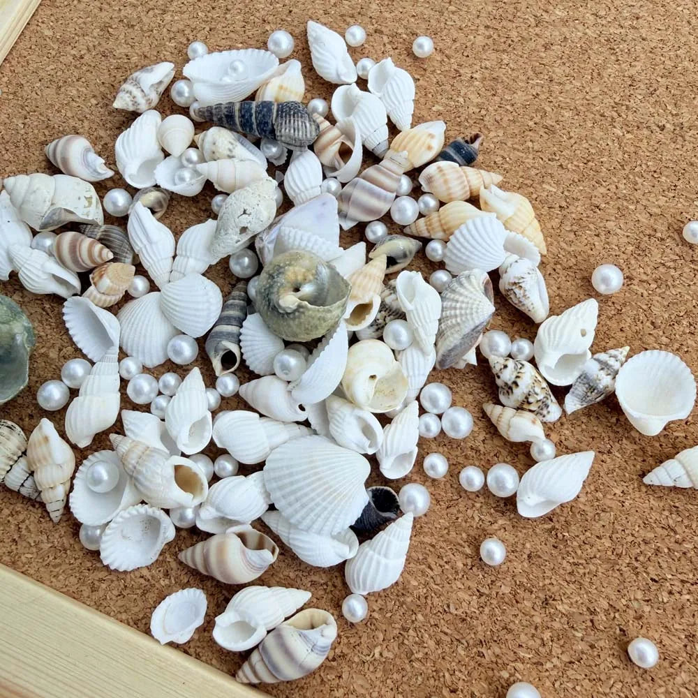 Resin Simulation Pearls & Shells Mix – DIY Craft & Home Décor