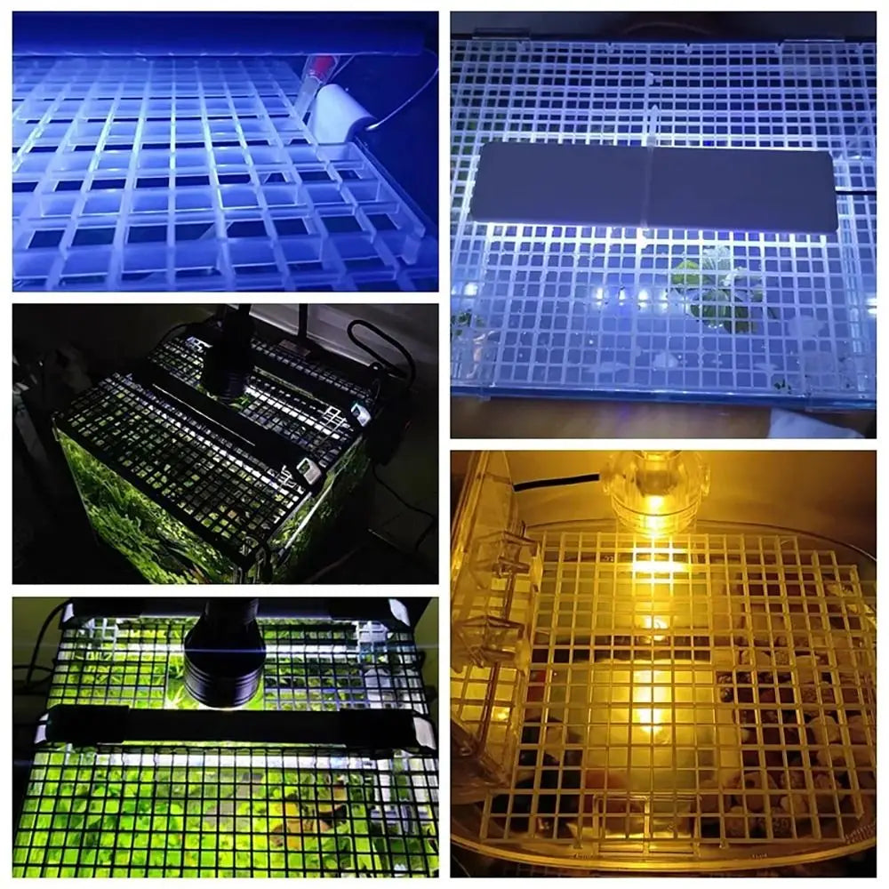 1Pcs Multifunctional Isolation Grid Board 30x30cm Black White Undergravel Bottom Plate Tray Plastic Seperator Divider Board Net Peaceful Pleasures Health and Wellness
