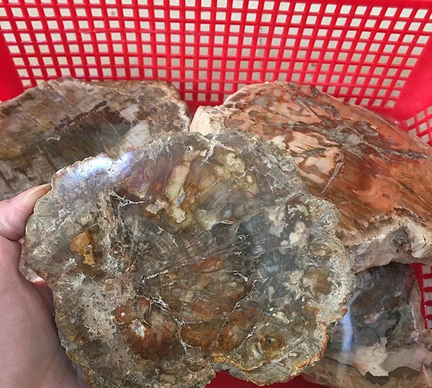 Natural Wood Shape Original Stone Raw Rock Crystal Quartz Mineral Specimen Healing Reiki Home Decoration Crafts Peaceful Pleasures Health and Wellness