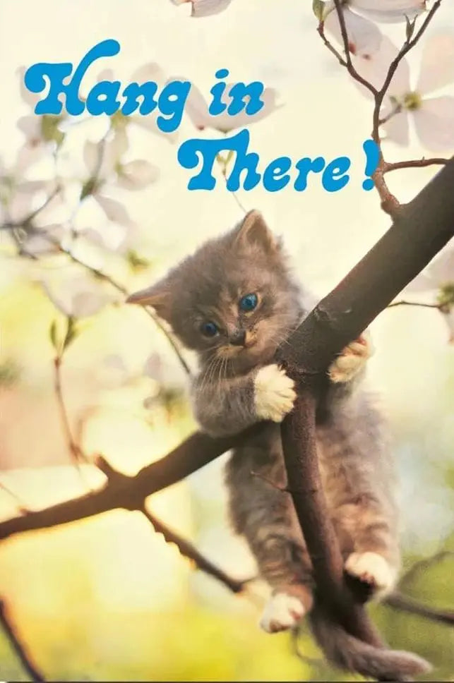 Cute Cat Yoga Canvas Wall Art | Hang In There Pet Poster