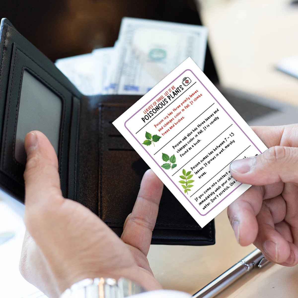 17pcs First Aid Wallet Pocket Flash Cards Guide With Basic First Aid Knowledge Emergency Cards For Home, Travel, Or Workplaces Peaceful Pleasures Health and Wellness