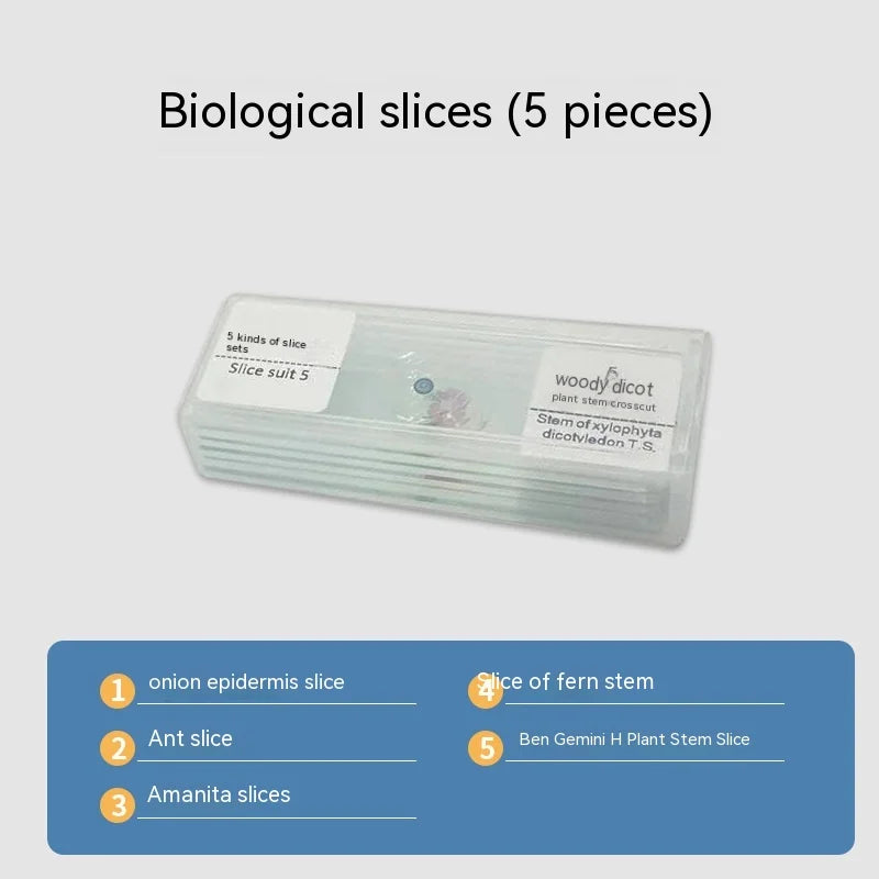 Microscopic Biology Teaching Experiment Accessories Gift Pack Animal and Plant Cell Slide Specimens Permanent Slice Specimens Peaceful Pleasures Health and Wellness