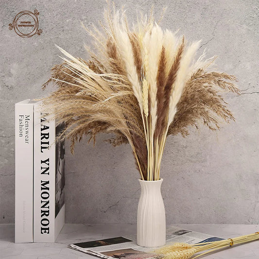 Natural Dried Pampas Grass Bunny Tails Bouquet | Boho Decor