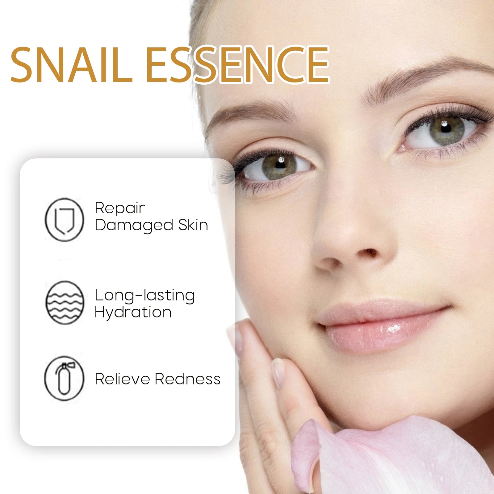 Snail Essence Fade Fine Lines Repair Skin Barrier Moisturizing Refines Pores Nourishes Rejuvenates Anti Wrinkle Facial Essence Peaceful Pleasures Health and Wellness