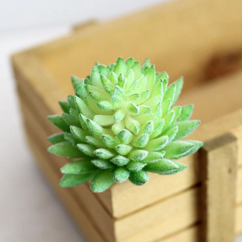 Artifical Plastic Succulent Plant Realistic Textured Cactus Mini Faux