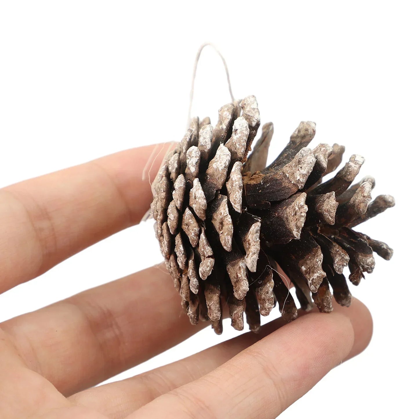 6-Pack Christmas Pine Cone Ornaments 5cm | Wreath & Tree Decor