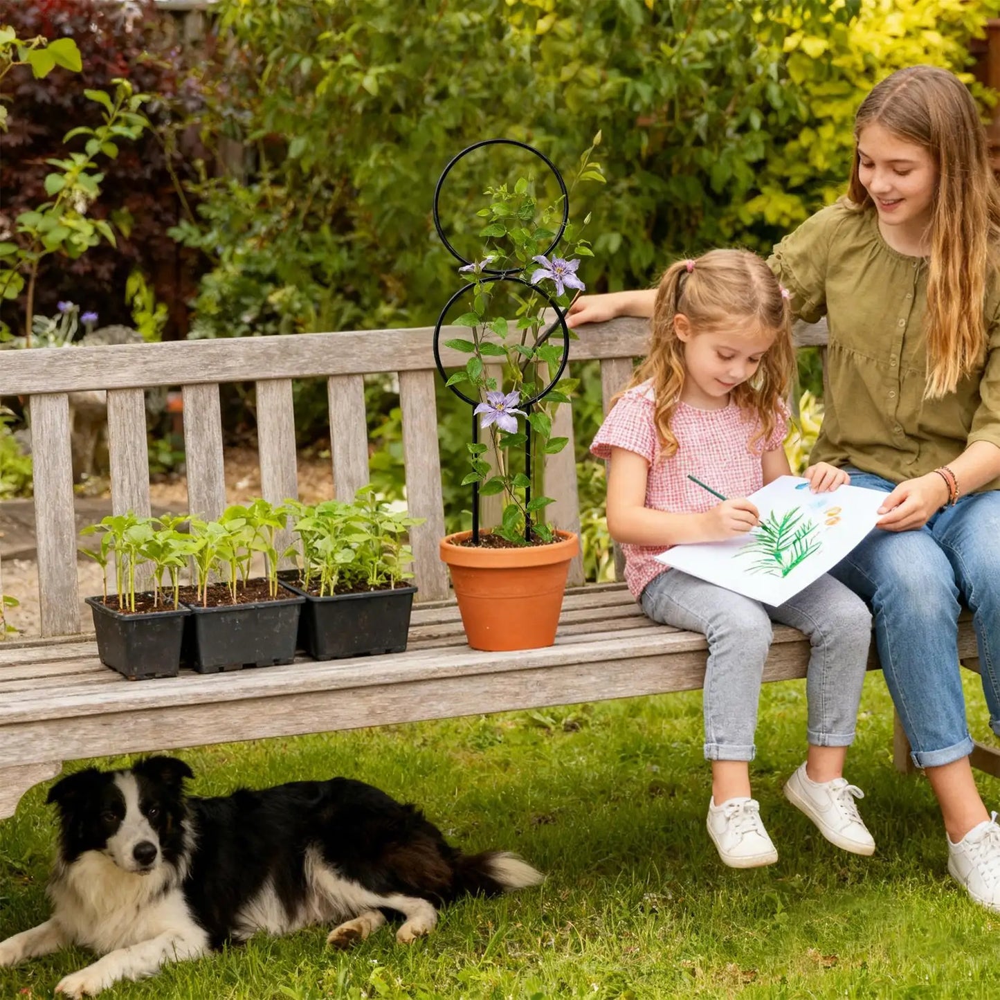 Metal Plant Trellis – Weather-Resistant Indoor & Outdoor Garden Stake