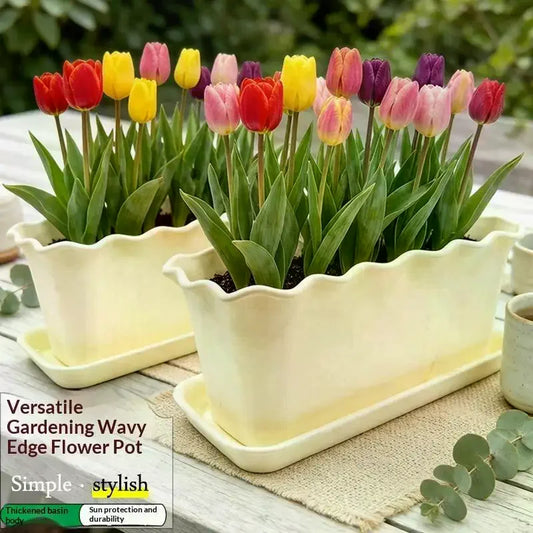 Cream Rectangular Planter with Saucer – UV-Resistant PP, Set of 2 Rectangular Planter Set Peaceful Pleasures Health and Wellness