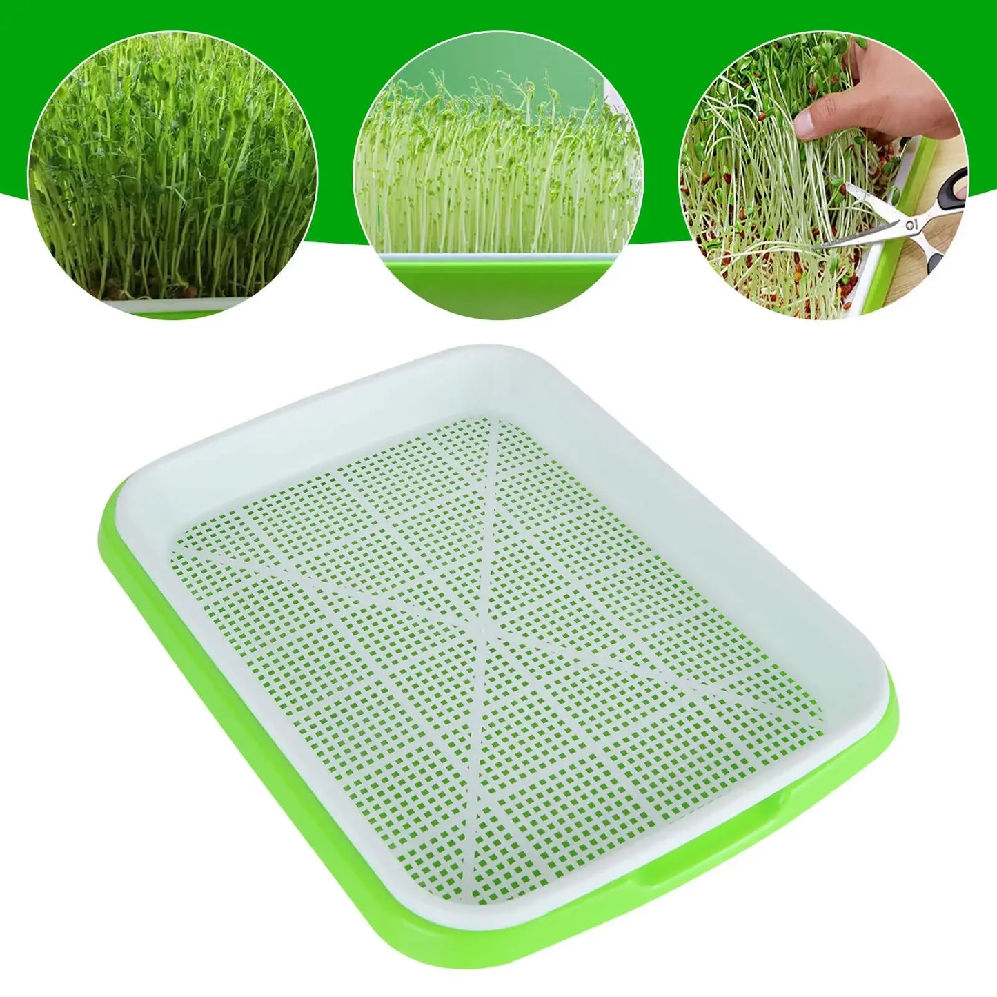 Microgreens Sprouter Tray Hydroponic/Sprouting Tray For Sprout Horticultural Hydroponic Systems Tray Garden Nursery Potted Peaceful Pleasures Health and Wellness