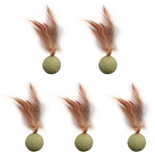 Edible Catnip Ball Cat Toy – Wood, Feather & Teeth Cleaning Cat Catnip Toy Peaceful Pleasures Health and Wellness