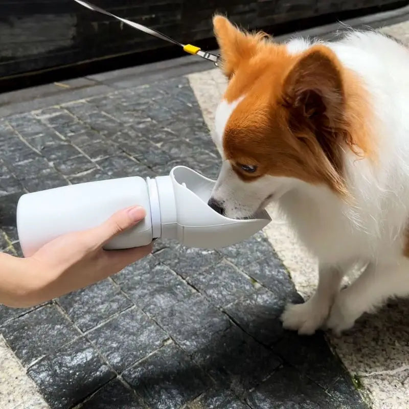 550ml Foldable Pet Travel Water Bottle for Dogs & Cats