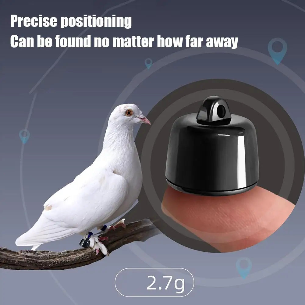 Mini-Tracker for Cats Puppies for Android ISO System for Bird and Dog Cat View Three Days of Movement GPS Trackers Peaceful Pleasures Health and Wellness