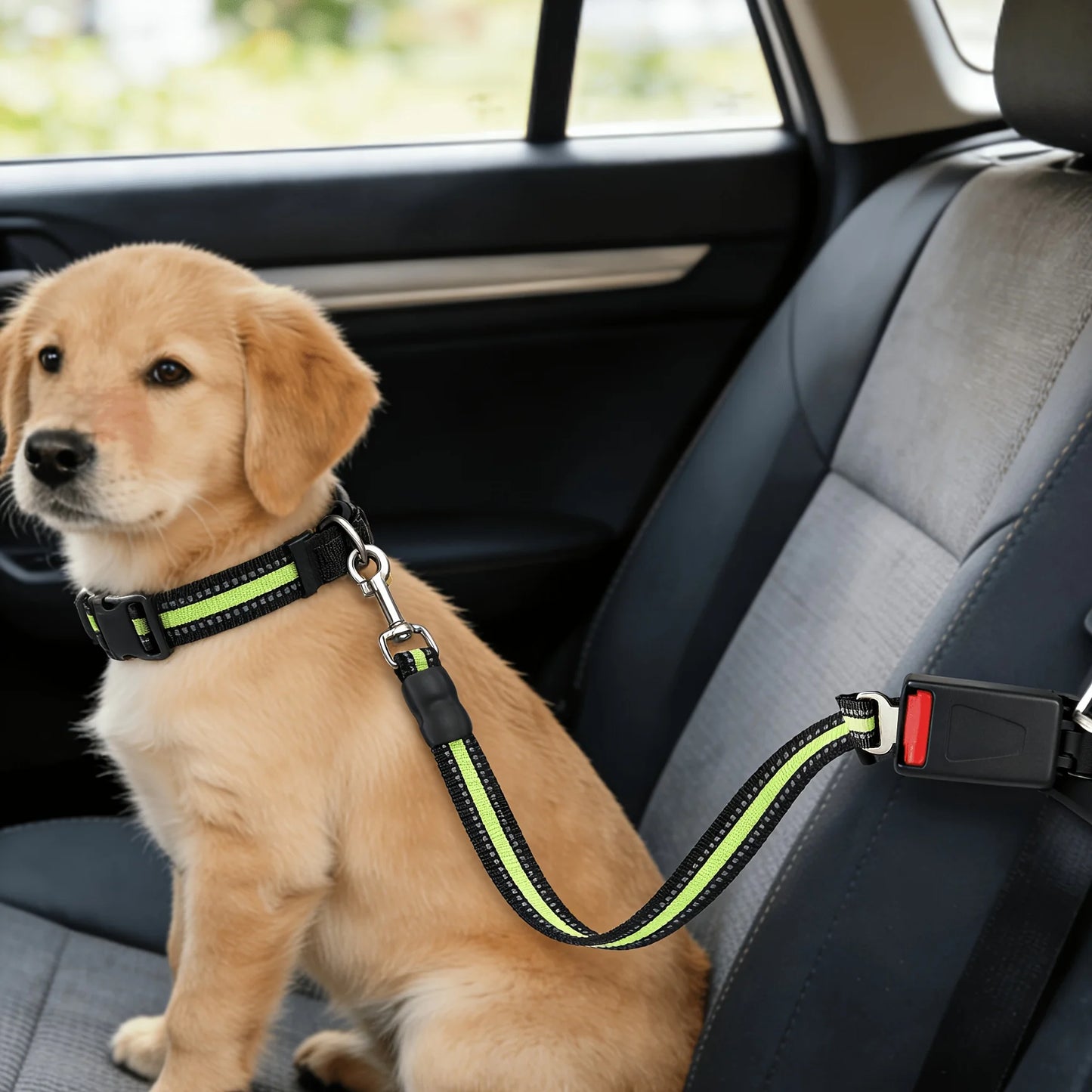 Adjustable Pet Car Seat Belt for Dogs & Cats – Safe Travel