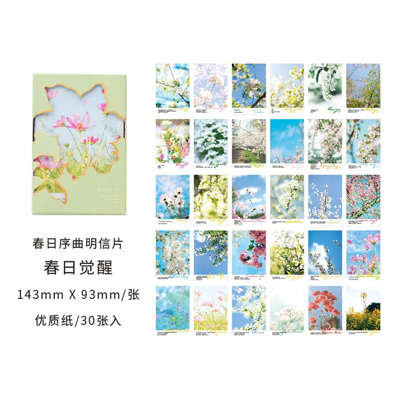 Spring Cherry Blossom Series Postcard INS Greeting Cards Wish Card