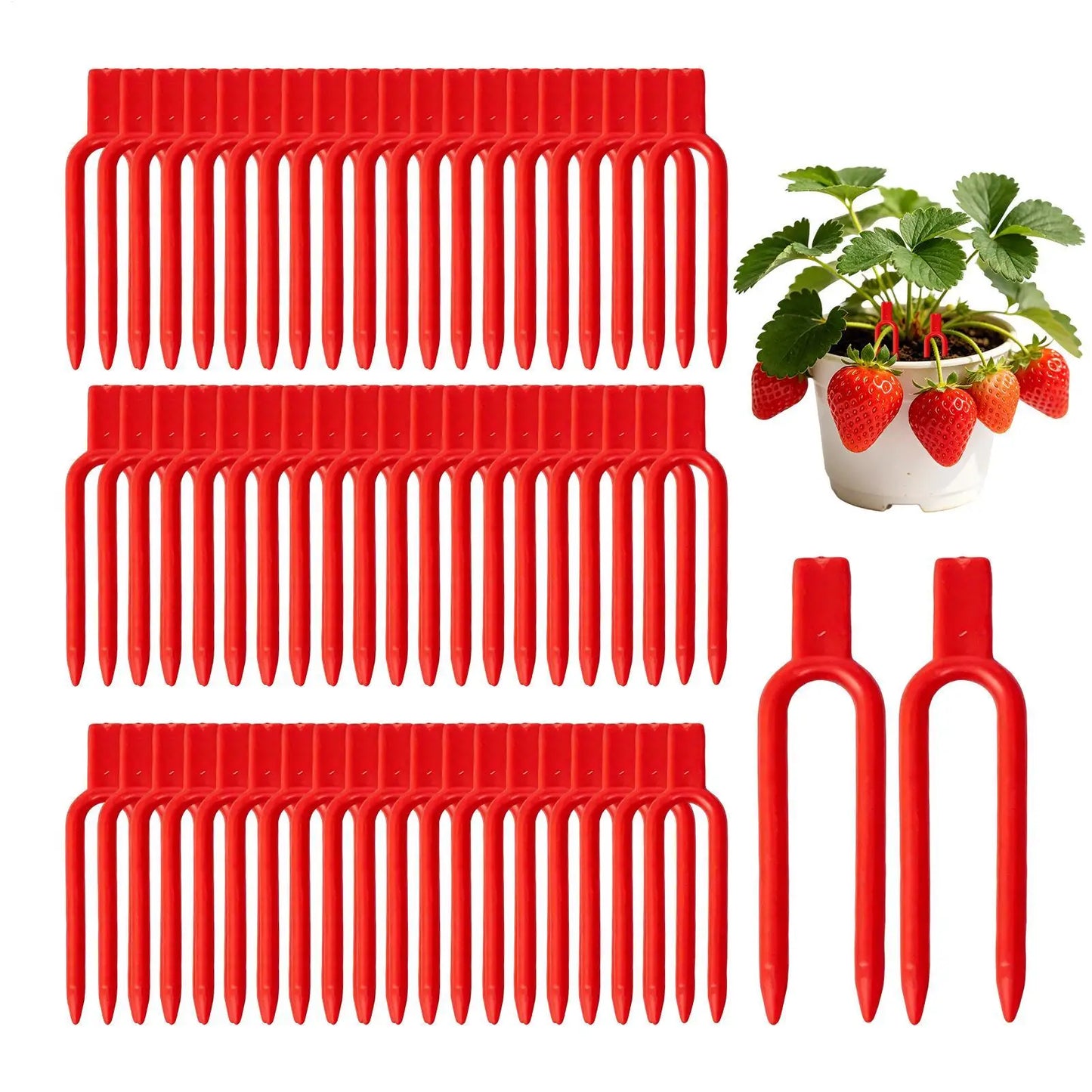 100-Pack Garden Plant Pins – Vine & Strawberry Stem Clips