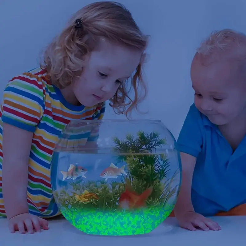1000pcs Glow in the Dark Pebbles – Garden & Aquarium Decor