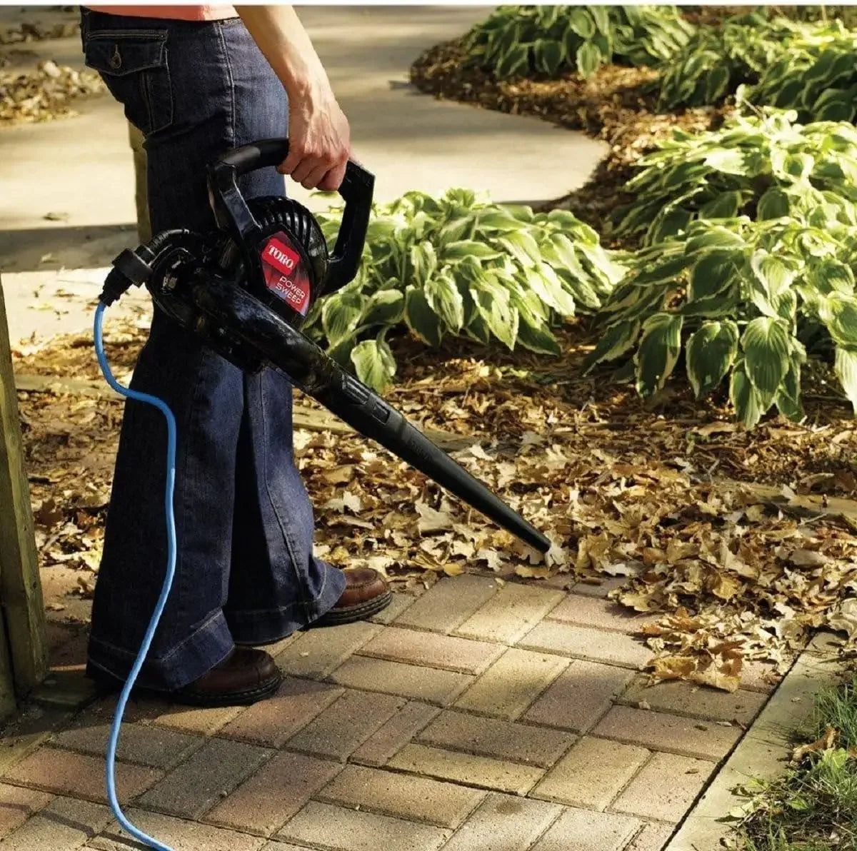 Electric Leaf Blower, 160 mph Air Speed, 2-Speed Control, Lightweight for Easy Use Peaceful Pleasures Health and Wellness