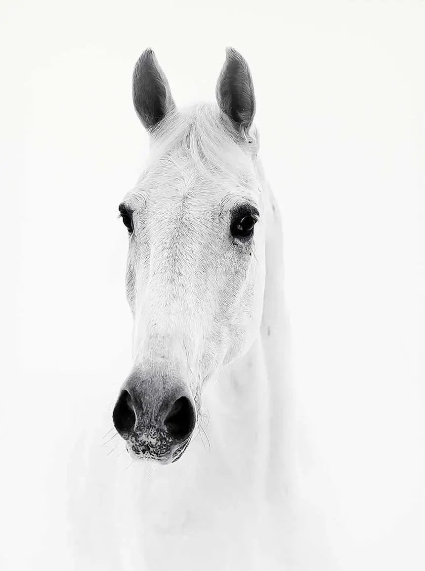 Black and White Horse Portrait Poster Print Canvas Painting Horses Running Animal Wall Picture for Farmhouse Room Home Decor Peaceful Pleasures Health and Wellness