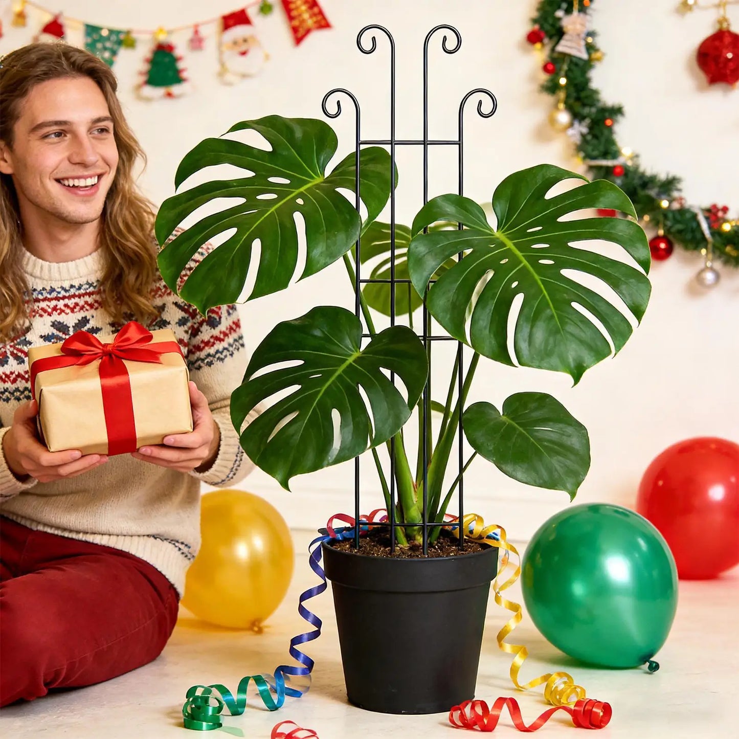 Indoor Plant Trellis Metal Vertical Growth Trellis For Plants Outdoor Vine Stakes For Monstera Tomato Flowers Ivy Pots Garden Peaceful Pleasures Health and Wellness