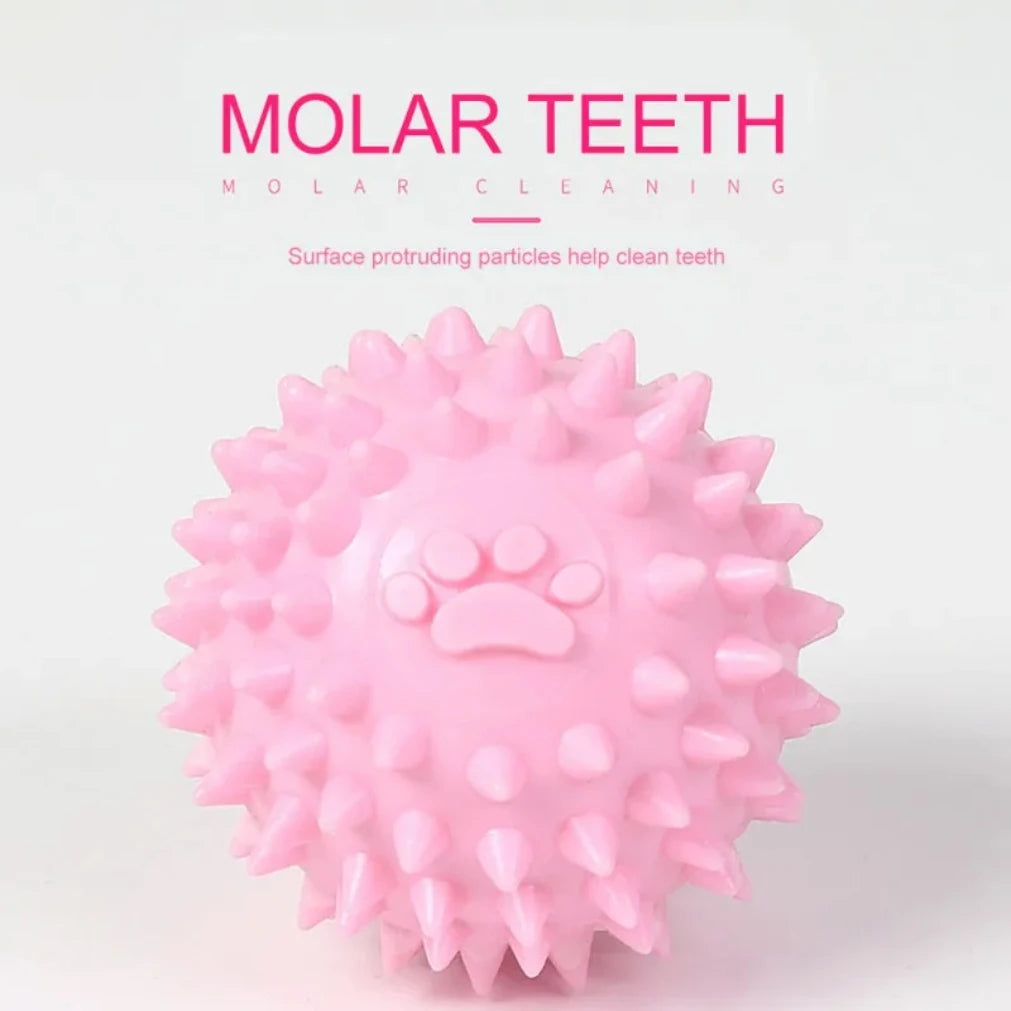 Interactive Rubber Chew Ball Dog Toy – Cleans Teeth & Durable