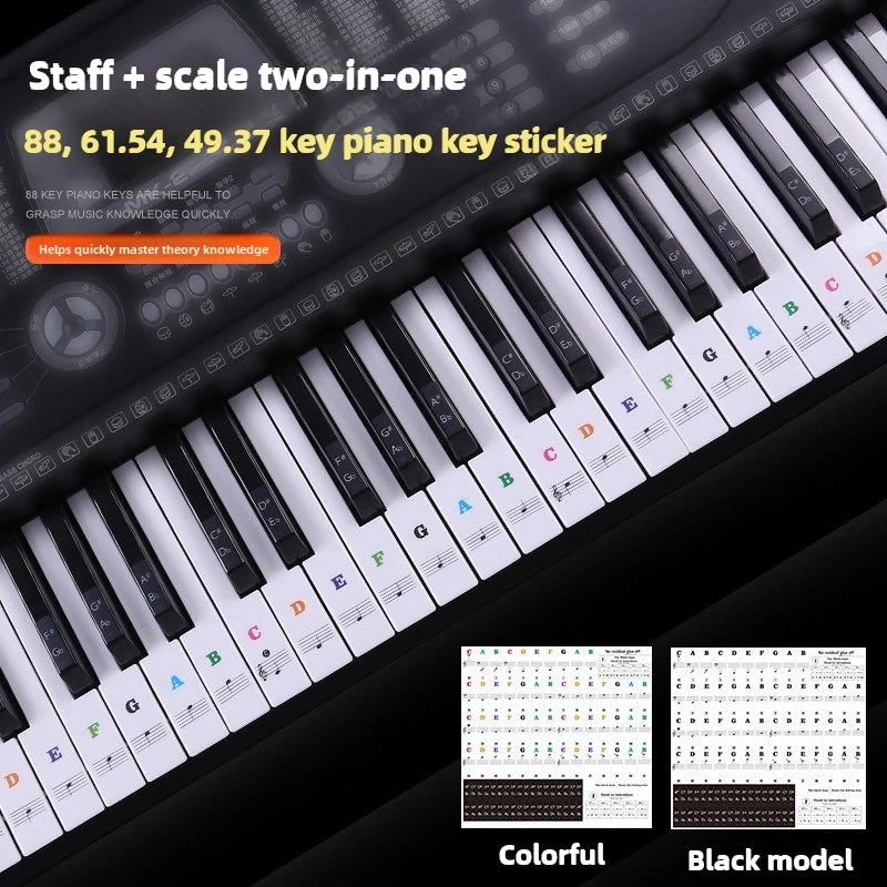 Piano Training Stickers 37 49 54 61 88 Keys Transparent PVC Key Decal