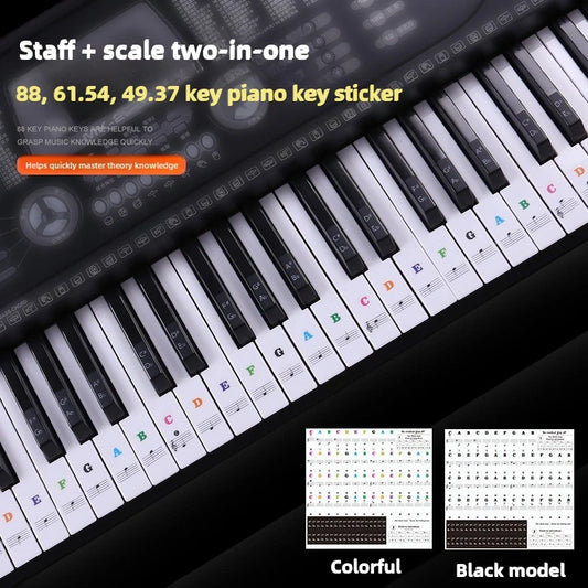 Piano Training Stickers 37 49 54 61 88 Keys Transparent PVC Key Decal Peaceful Pleasures Health and Wellness