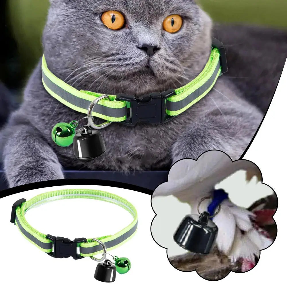 Mini-Tracker for Cats Puppies for Android ISO System for Bird and Dog Cat View Three Days of Movement GPS Trackers Peaceful Pleasures Health and Wellness