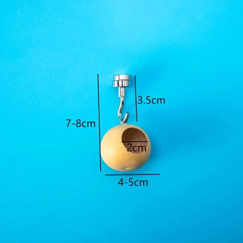 Natural Gourd Jumping Spider House | Magnetic Hanging Hideout