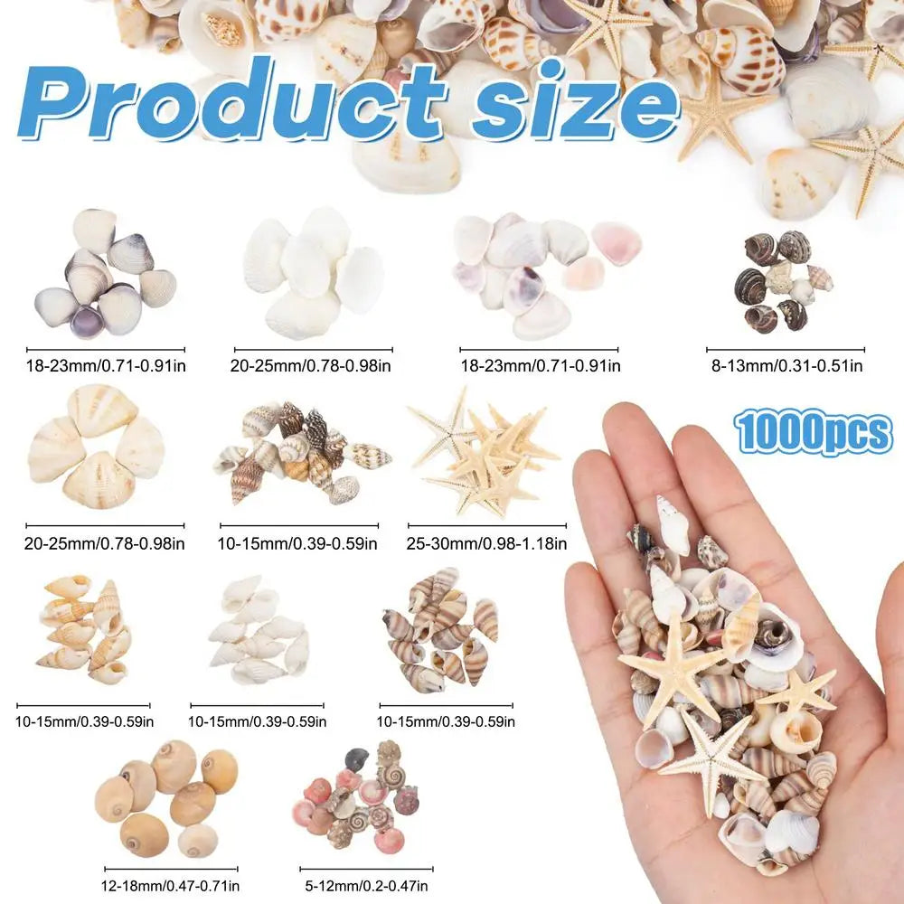 Mini Seashells & Starfish Mixed Tiny Shells For DIY Crafts, Hobbyists Kids Adults Art Teachers, Aquarium Fish Tank Decor Peaceful Pleasures Health and Wellness 1 set